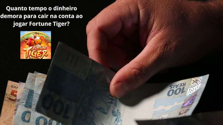 stake jogo