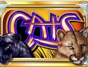 como apostar em cantos no bet365
